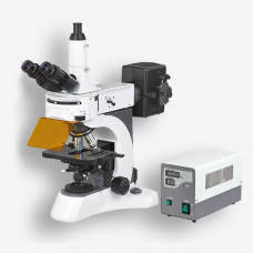 Medical Series Fluorescent Microscope